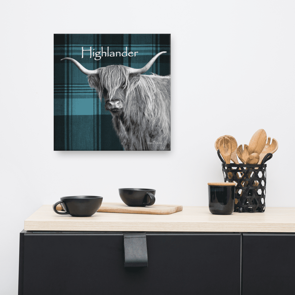 Black and white highland cow on plaid