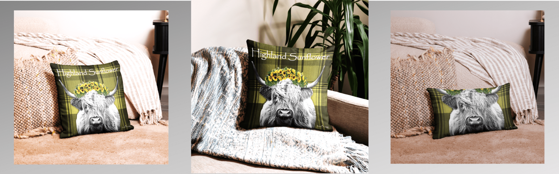 Highland cow with sunflower pillow on sofa.